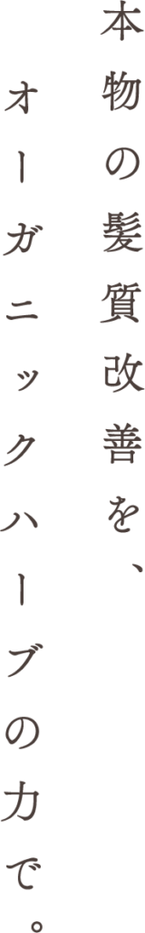 本物の髪質改善を、天然ハーブの力で。